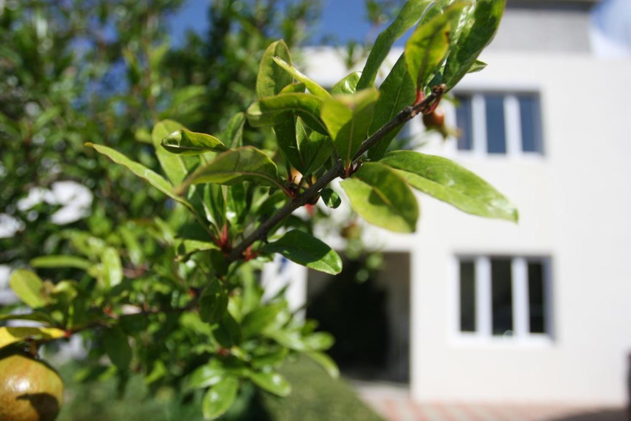 Apartman Mare Makarska Zewnętrze zdjęcie
